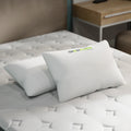 GhostPillow - Shredded 1 Pack