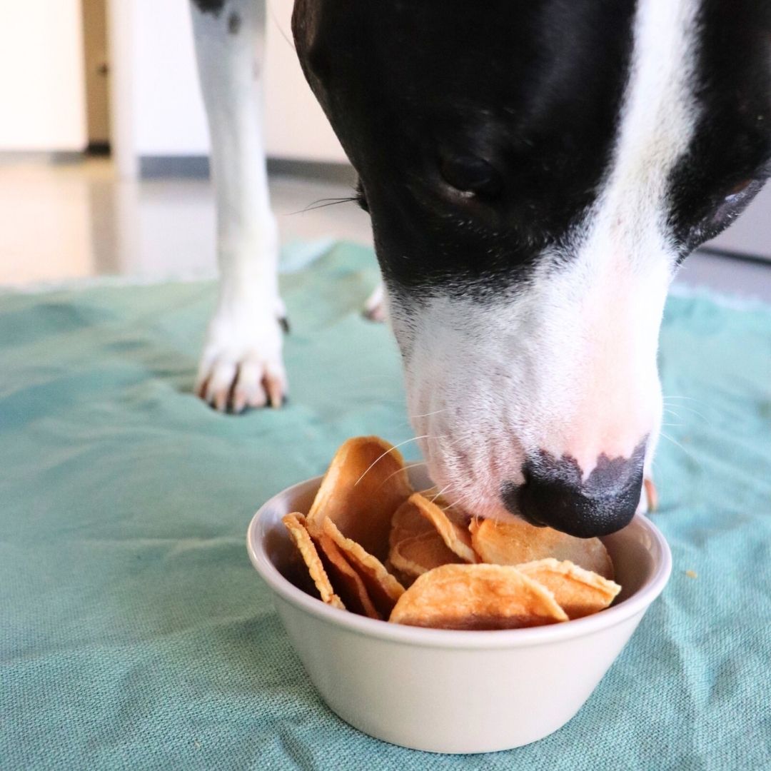 5oz Turkey Tendon Chips
