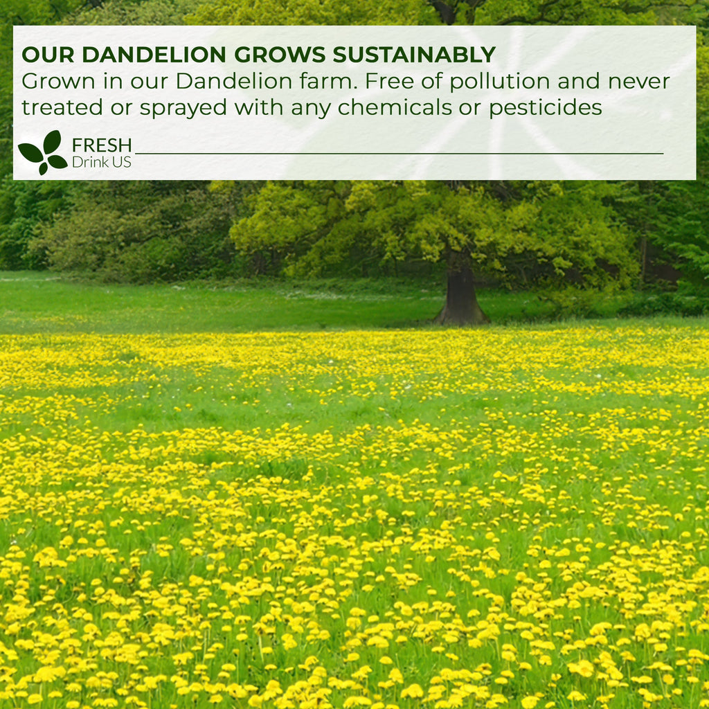 Dandelion Root Tea Bags