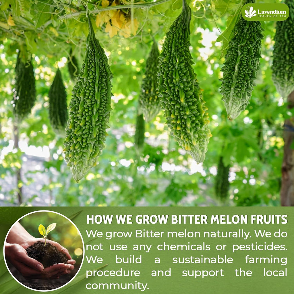 Bitter Melon Tea Bags, 100% Natural, Pure Bitter Melon. Bitter Melon Herbal Tea. Bitter Melon Fruit Tea. No Sugar, No Caffeine, No Gluten, Vegan