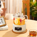 Multifunctional 110V Electric Kettle and Health Tea Stew Pot