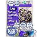 Premium Butterfly Pea Flowers Tea Bags