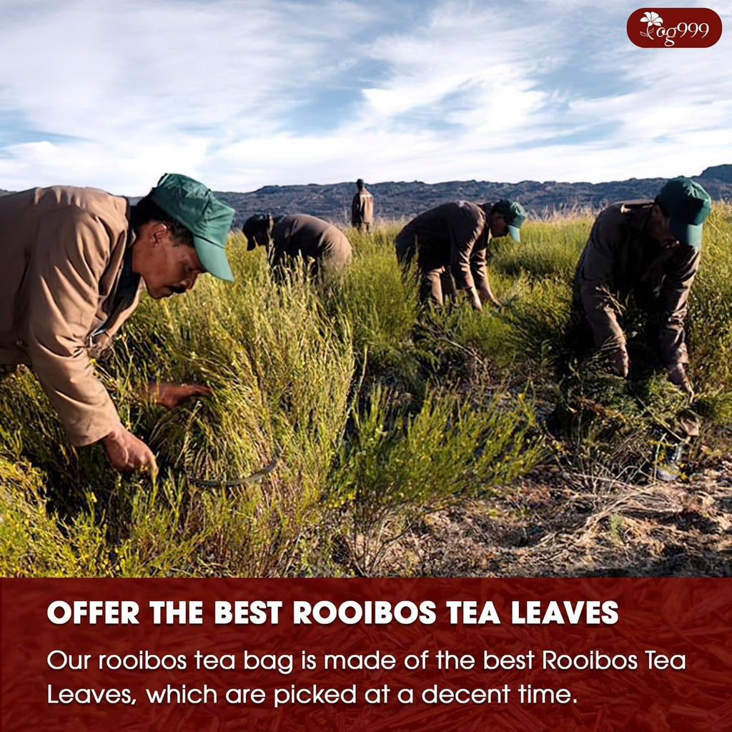 Premium Red Rooibos Tea Bags