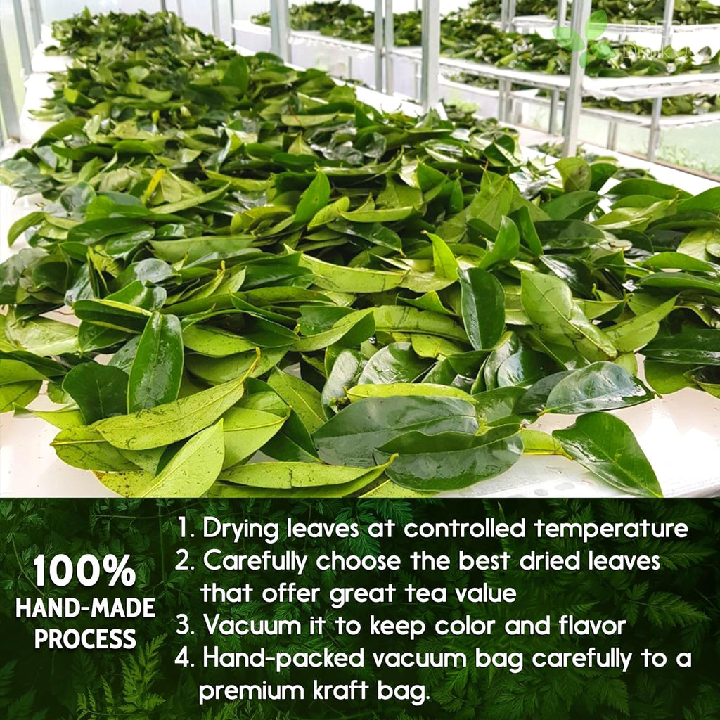 Premium Soursop Leaves Tea Bags