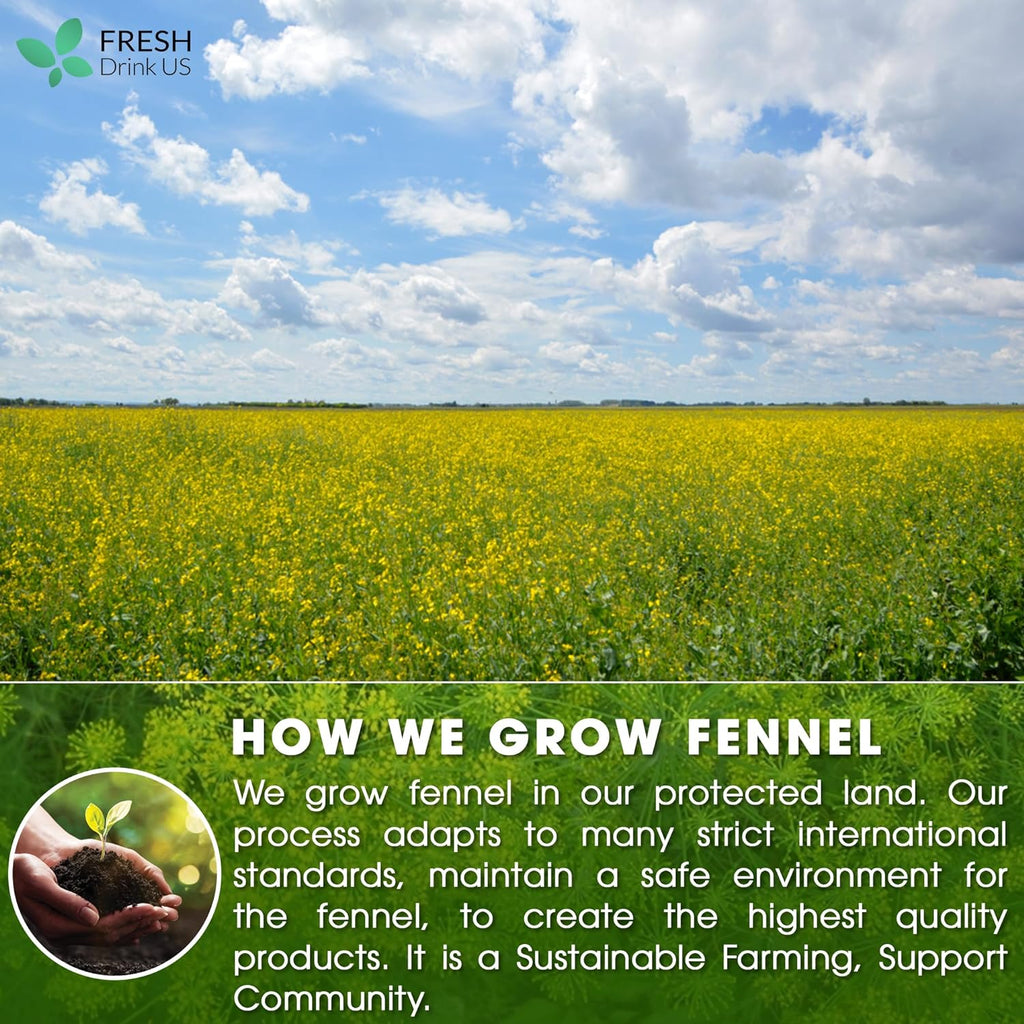 Premium Fennel Tea Bags