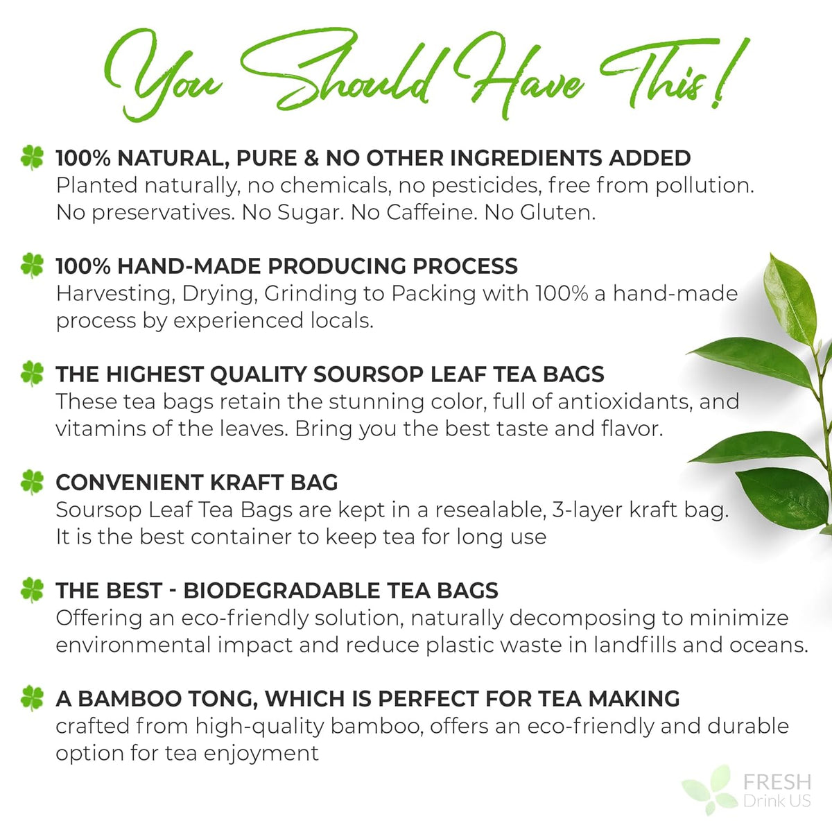 Premium Soursop Leaves Tea Bags