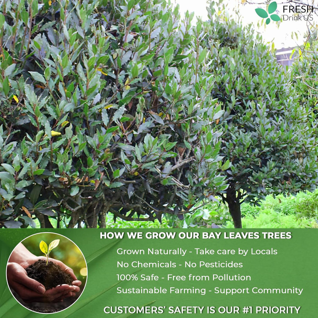 Premium Dried Bay Leaves, Tea Bags, Powder, Bay Leaves Spice, Whole Nice Leaves, Wildcrafted, Fresh Harvested, Bay Leaves For Cooking, Sugar-Free, Gluten Free, Caffeine Free, Vegan