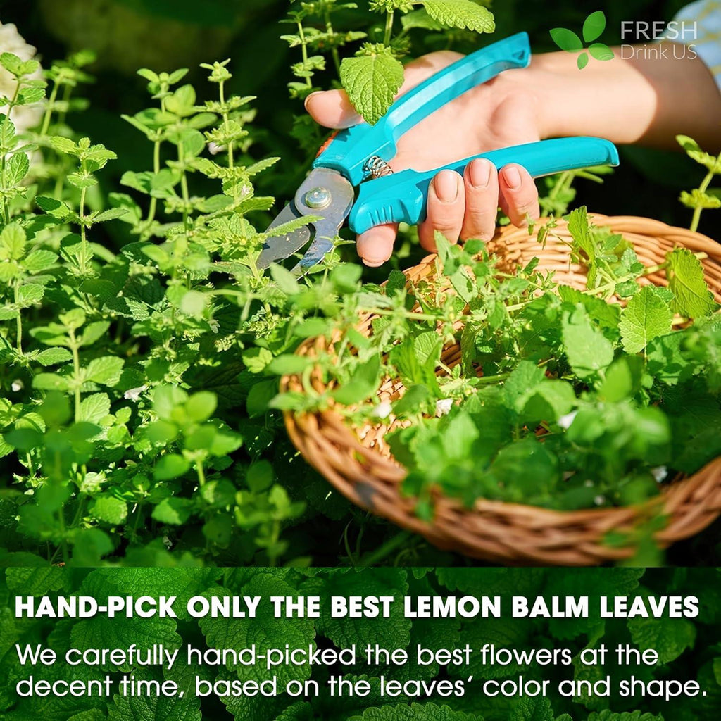 Premium Lemon Balm Leaf Tea Bags