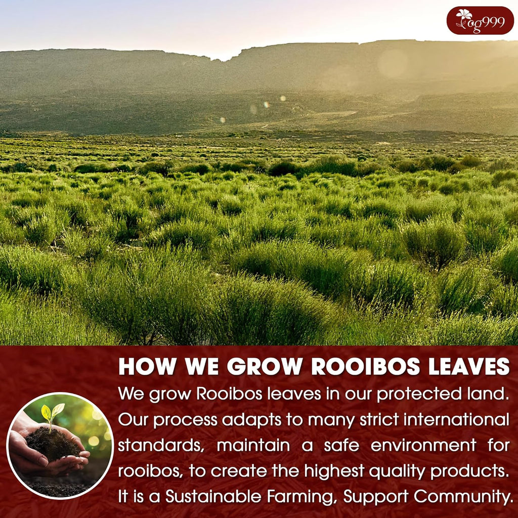 Premium Red Rooibos Tea Bags