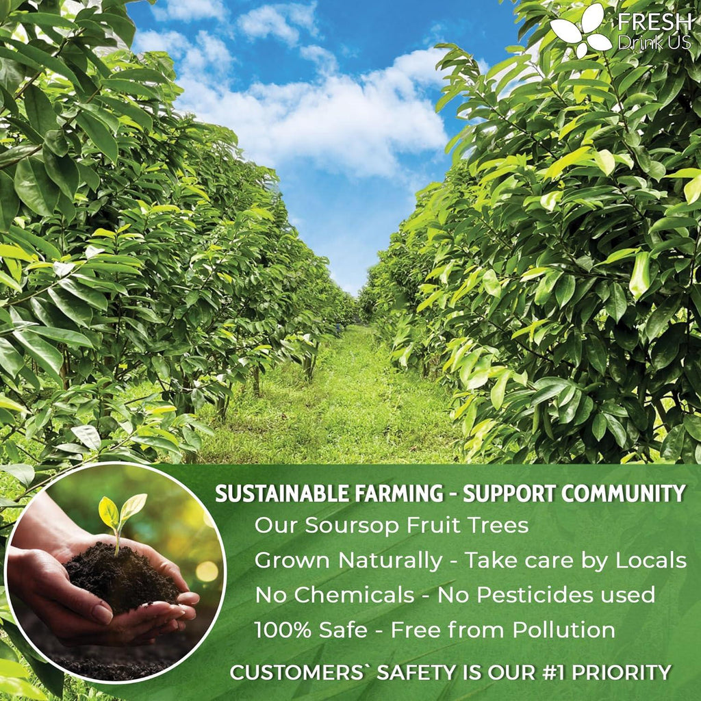 Premium Soursop Graviola Fruit Tea Bags, Tea Powder, 100% Natural and Pure from Soursop Fruits, Handmade, Made With Natural Materials-Corn Fiber Tea Bag, Sugar/Caffeine/Gluten Free, Hoja Guanabana Tea