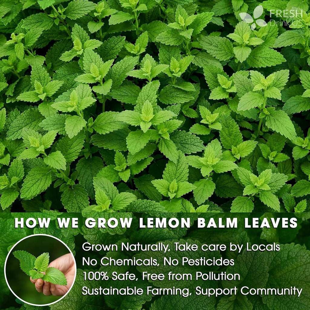 Premium Lemon Balm Leaf Tea Bags