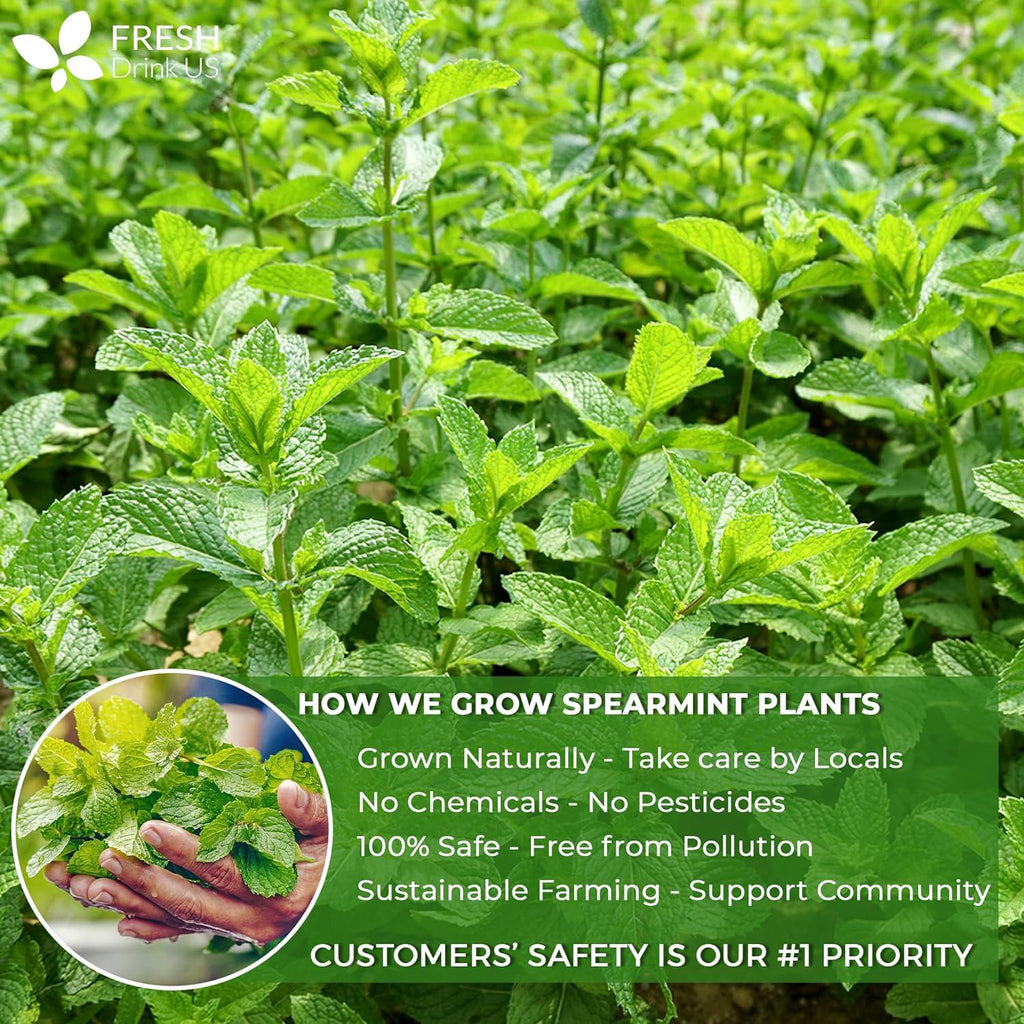 Spearmint Tea Bags, 100% Natural & Pure Spearmint Leaves. Loose Leaf Spearmint Herbal Tea. Spearmint Leaf Tea. No Sugar, No Caffeine, No Gluten, Vegan.