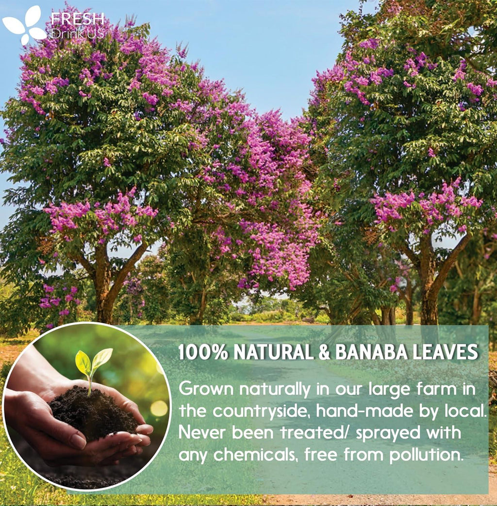 Natural Banaba Dried Leaves, Tea Bags, Powder