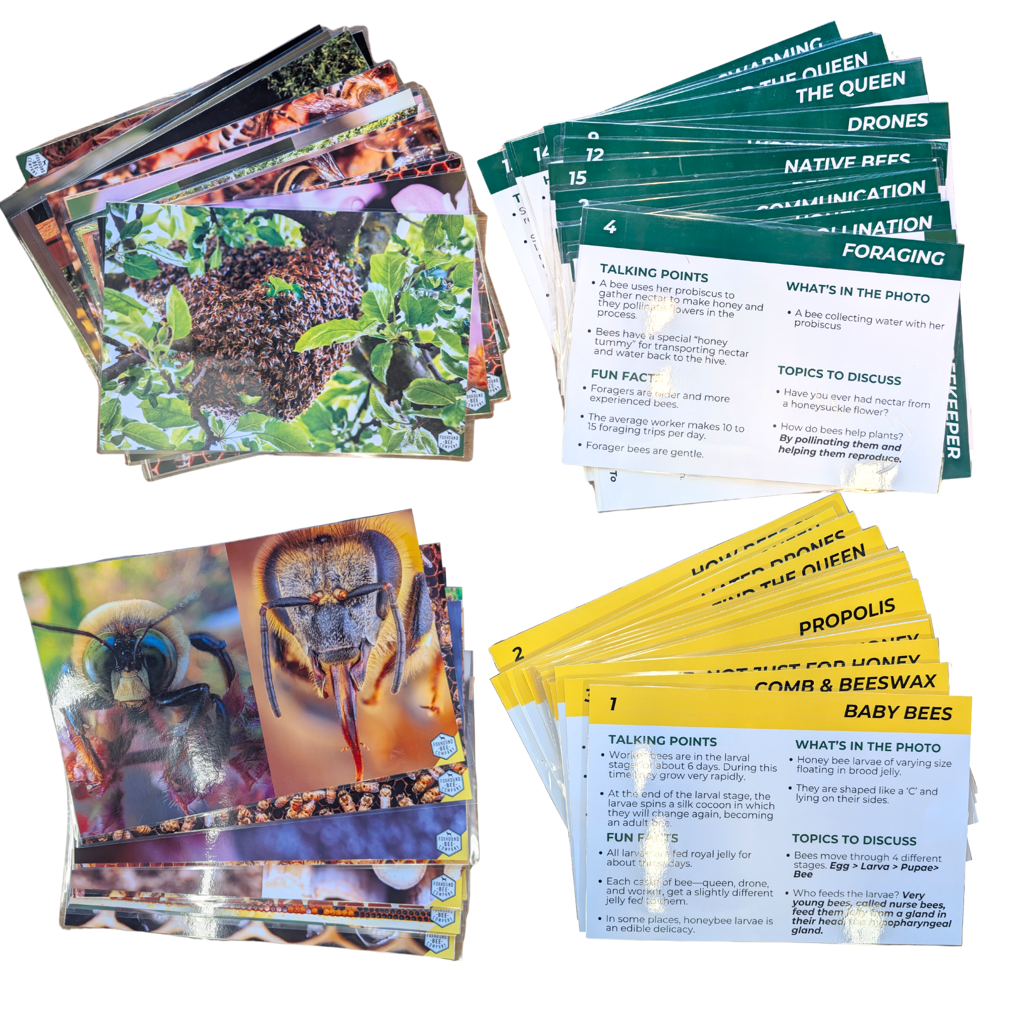 Educational Beekeeping Cards