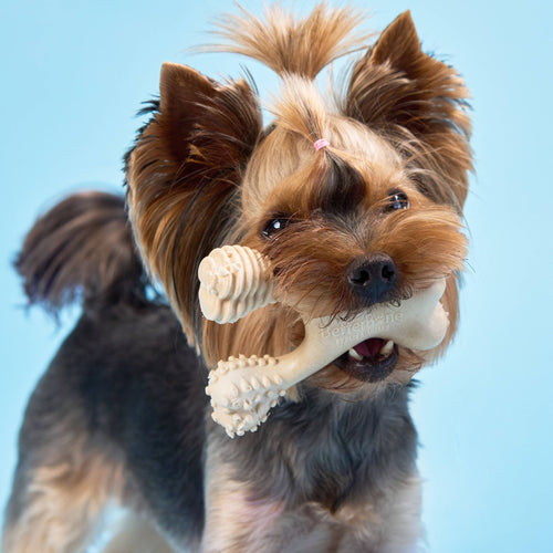 BetterBone LIGHT Chew Toy