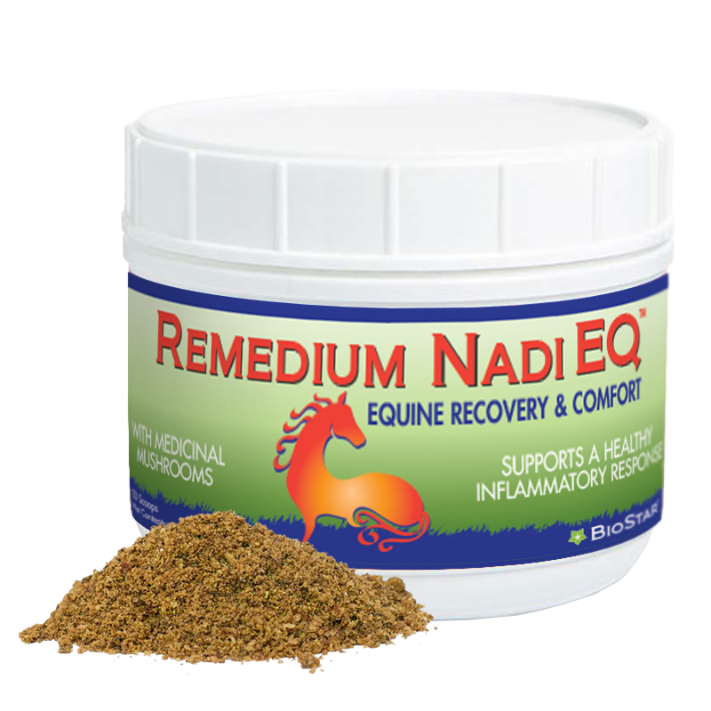 Remedium Nadi EQ
