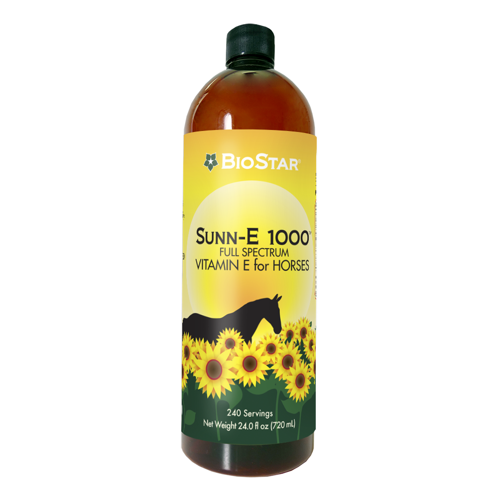 Sunn-E 1000