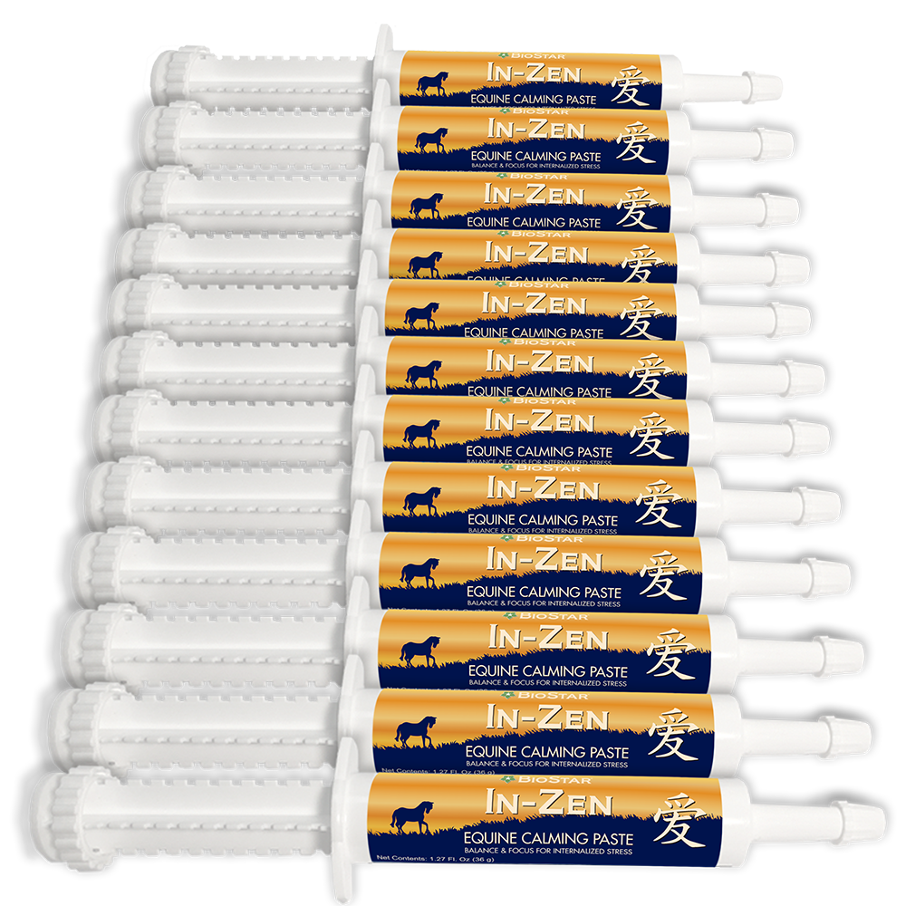 Zen Equine Syringes