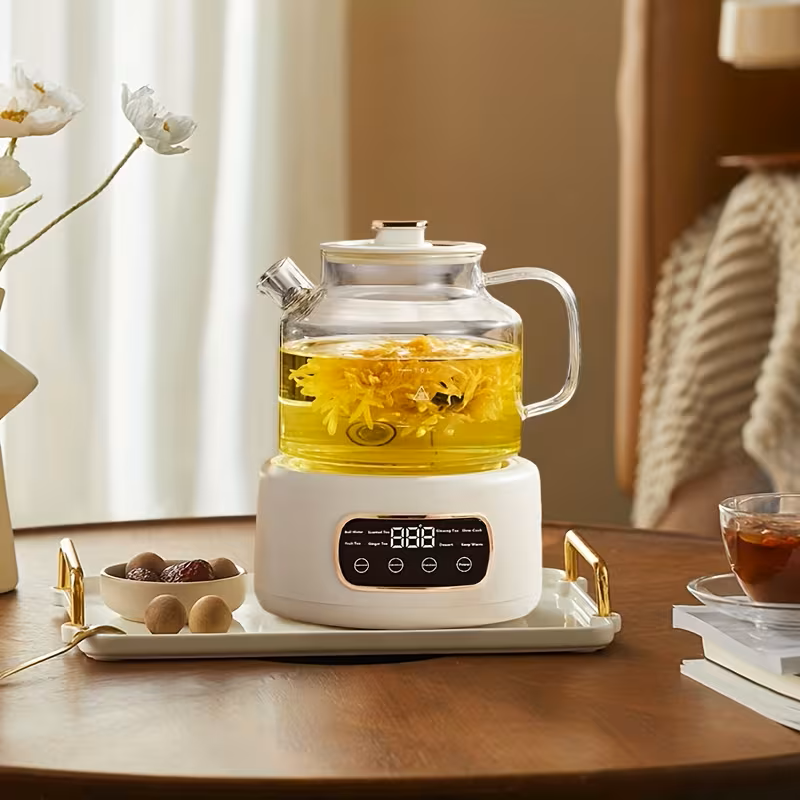 Multifunctional 110V Electric Kettle and Health Tea Stew Pot