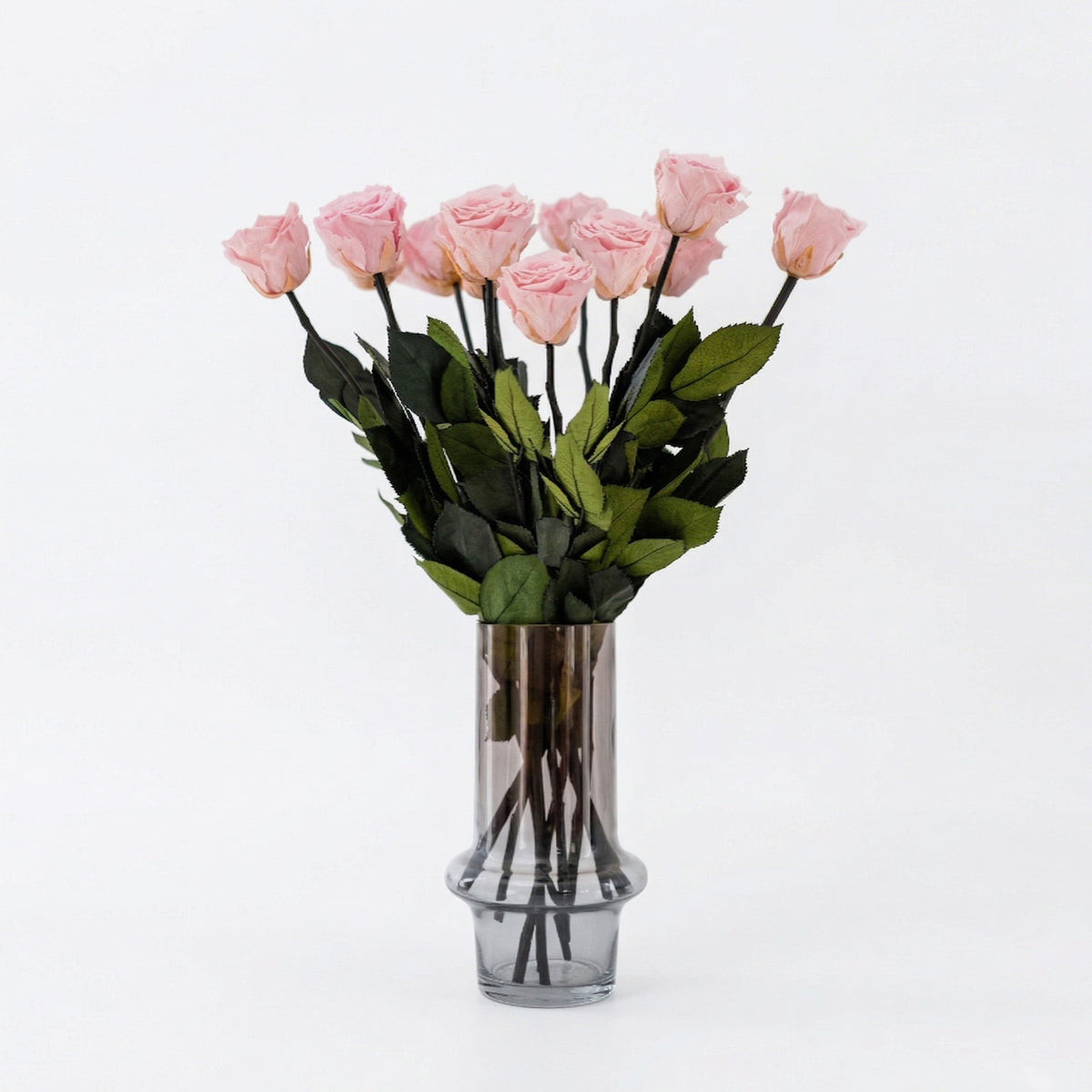 Long Stem Roses | Light Pink Roses